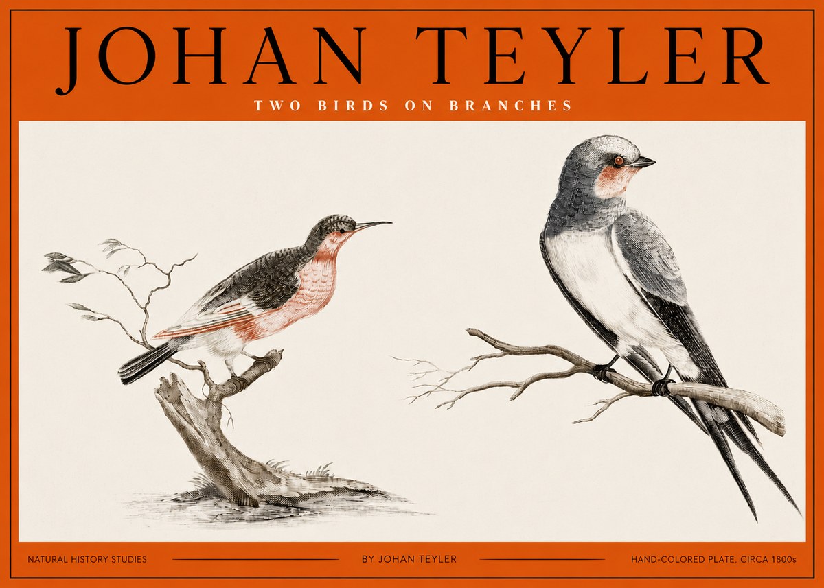 Johan Teyler Two Birds on Branches No2 - Plakát