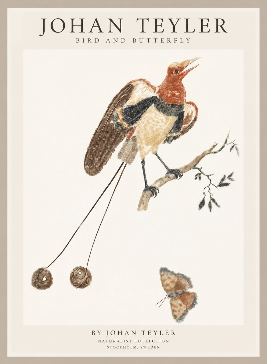 Johan Teyler Bird and Butterfly No1 - Plakát
