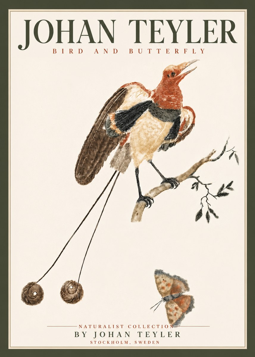 Johan Teyler Bird and Butterfly No4 - Plakát
