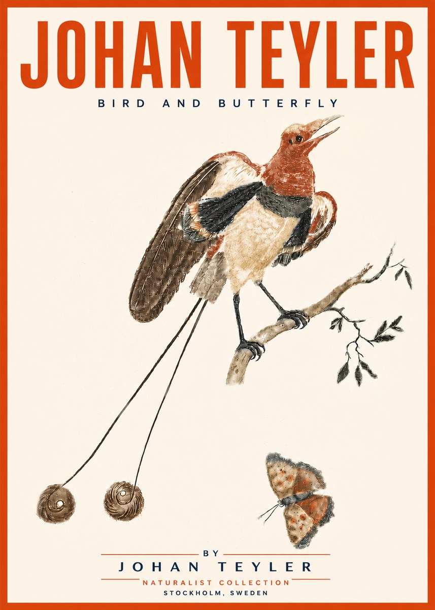 Johan Teyler Bird and Butterfly No5 - Plakát
