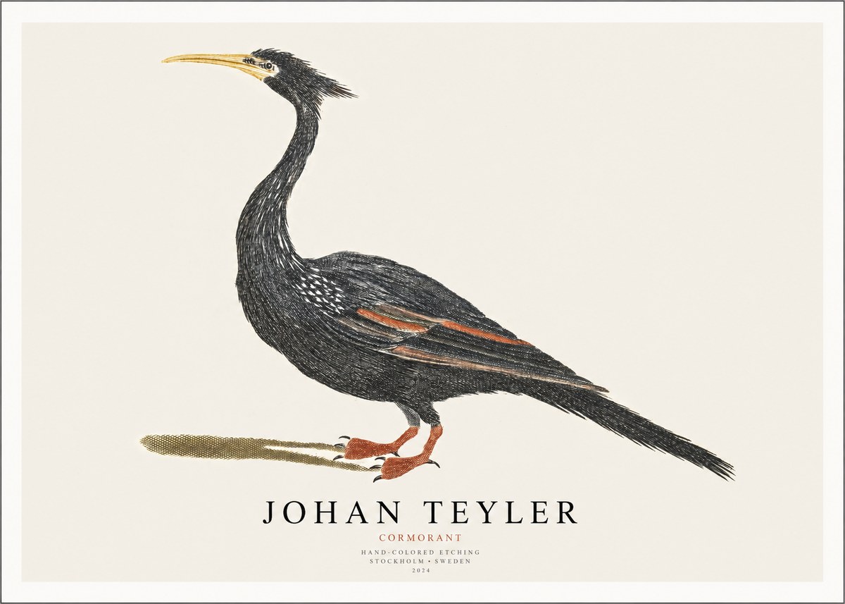 Johan Teyler Cormorant No1 - Plakát