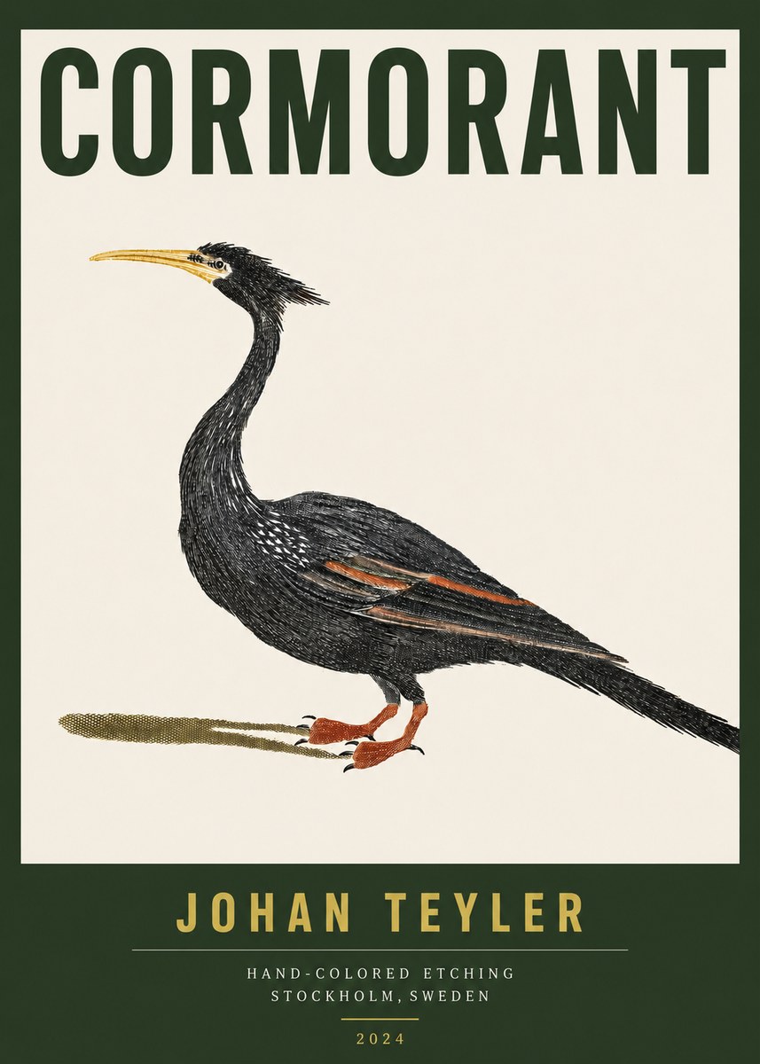 Johan Teyler Cormorant No3 - Plakát