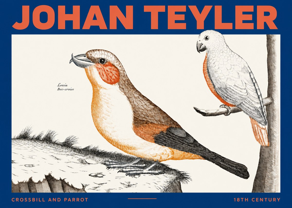 Johan Teyler Crossbill and Parrot No2 - Plakát