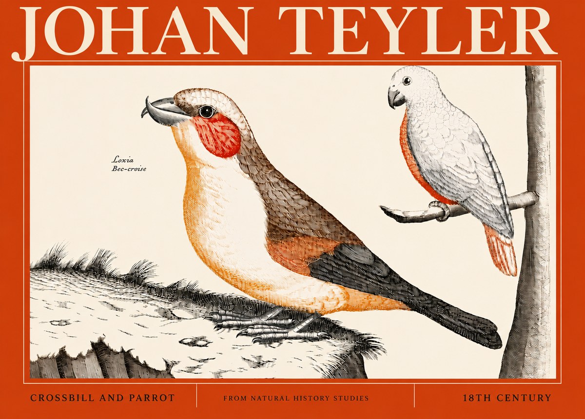 Johan Teyler Crossbill and Parrot No4 - Plakát