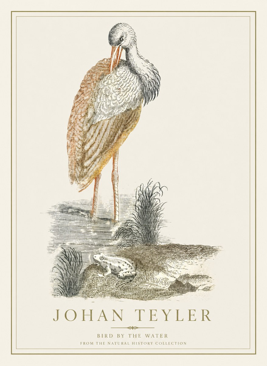 Johan Teyler Bird by the Water No1 - Plakát