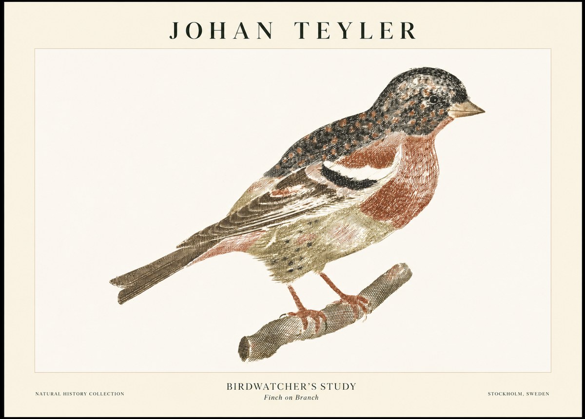 Johan Teyler Finch on Branch No1 - Plakát