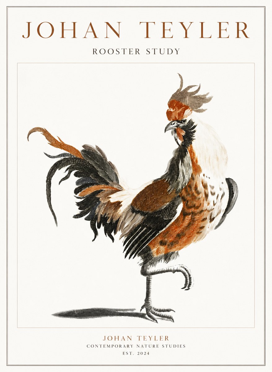 Johan Teyler Rooster Study No1 - Plakát