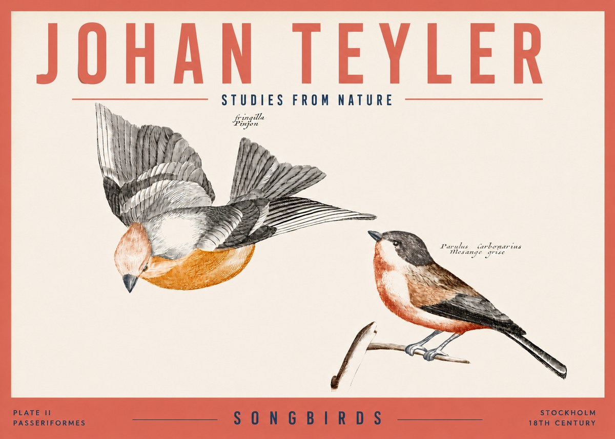 Johan Teyler Songbirds - Plate Ii No3 - Plakát