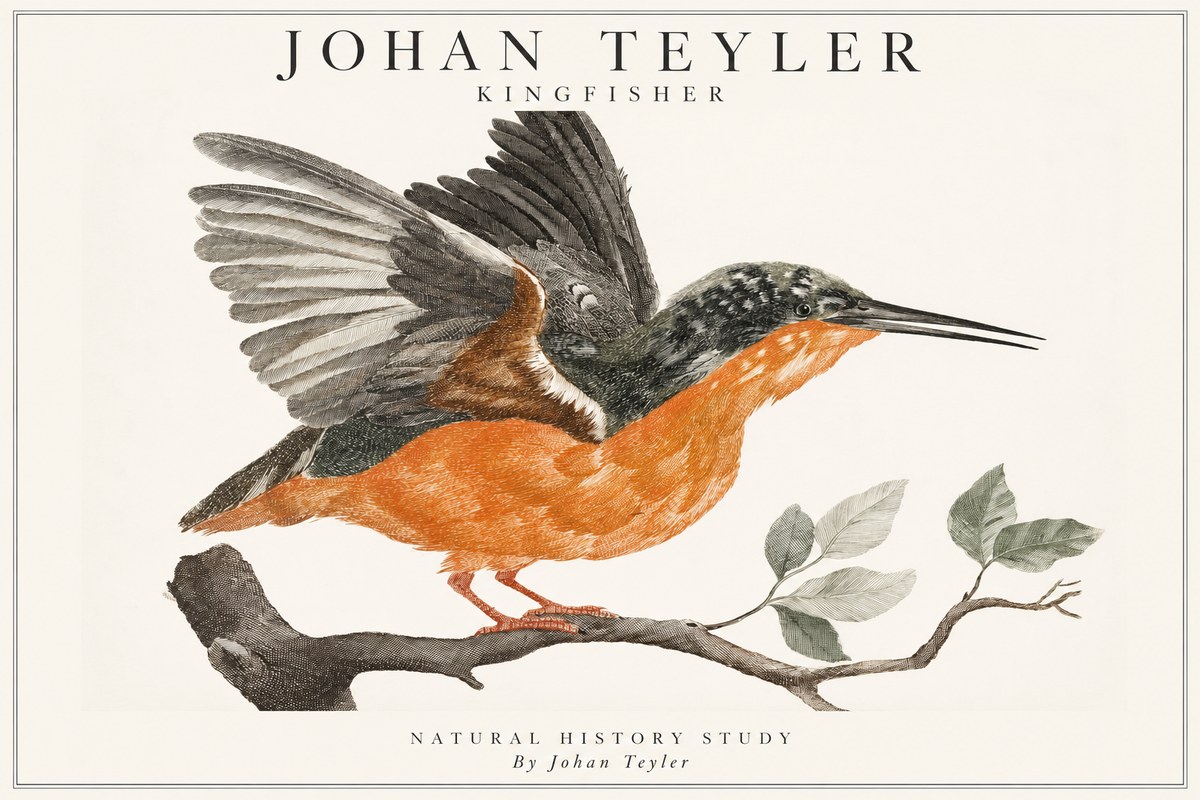 Johan Teyler Kingfisher No1 - Plakát