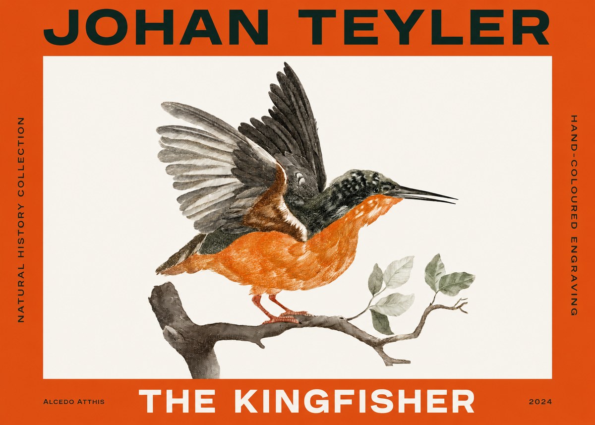 Johan Teyler Kingfisher No4 - Plakát