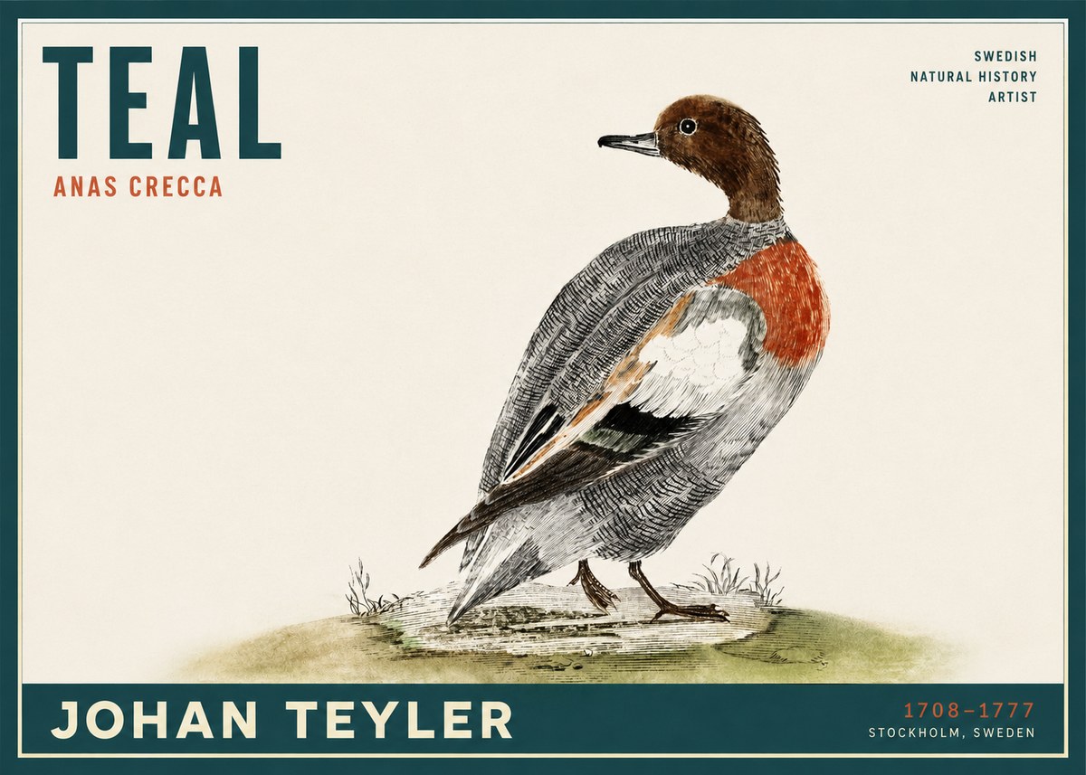 Johan Teyler Teal No2 - Plakát
