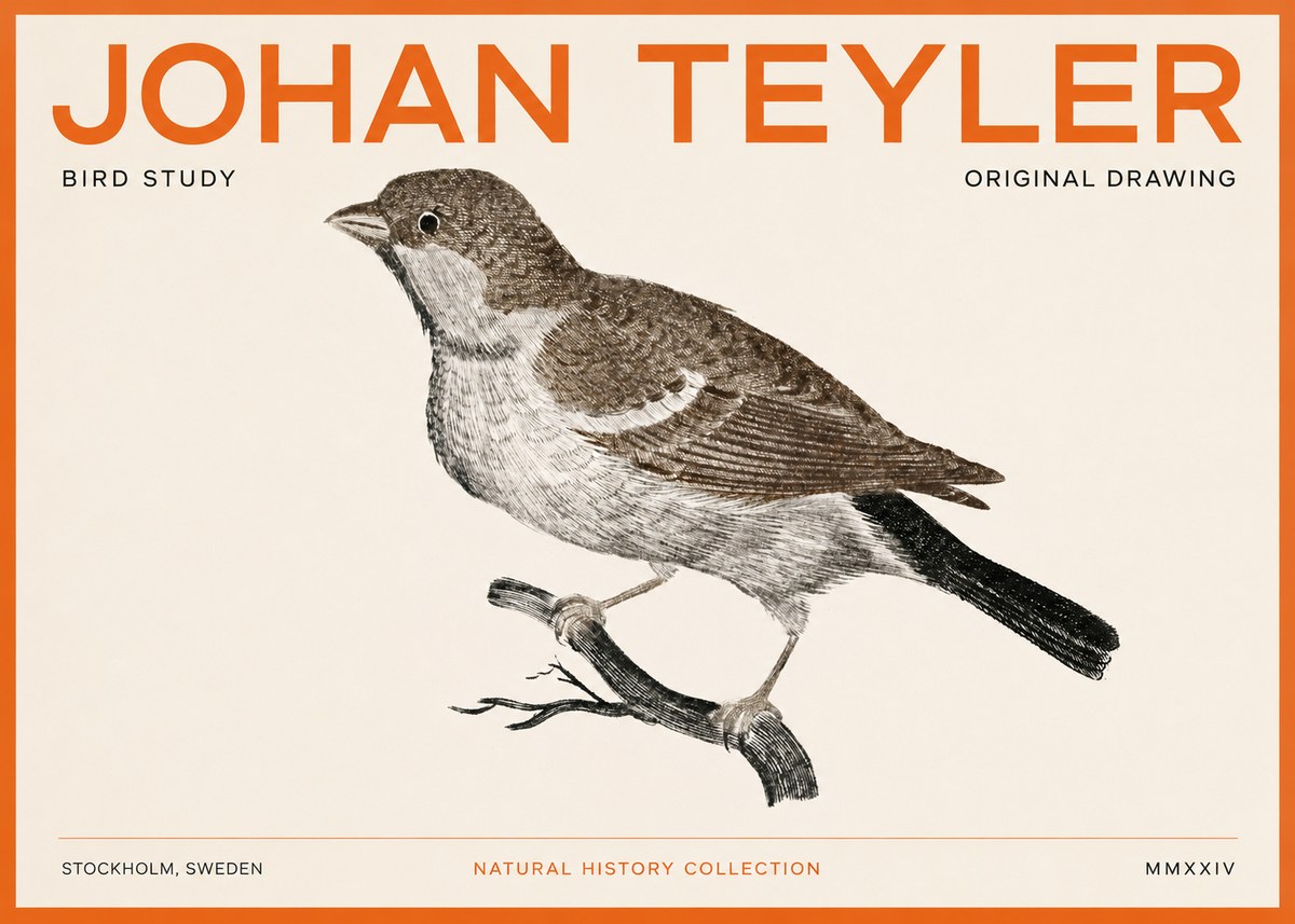 Johan Teyler Bird Study II No3 - Plakát