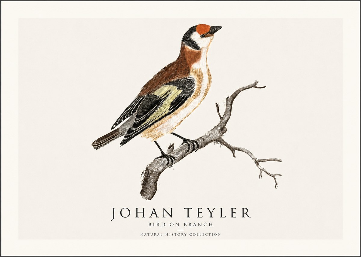 Johan Teyler Song of the Finch No2 - Plakát
