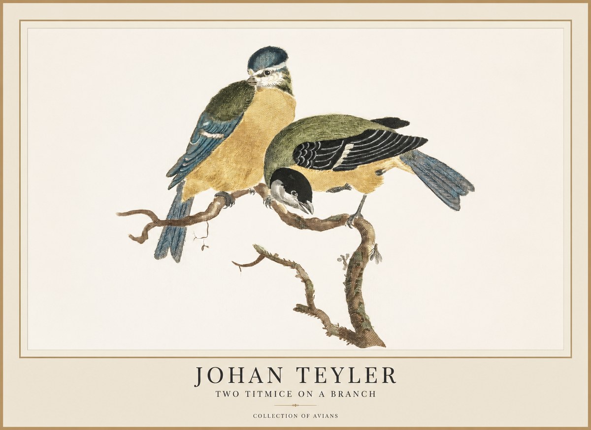 Johan Teyler Two Titmice on a Branch No1 - Plakát