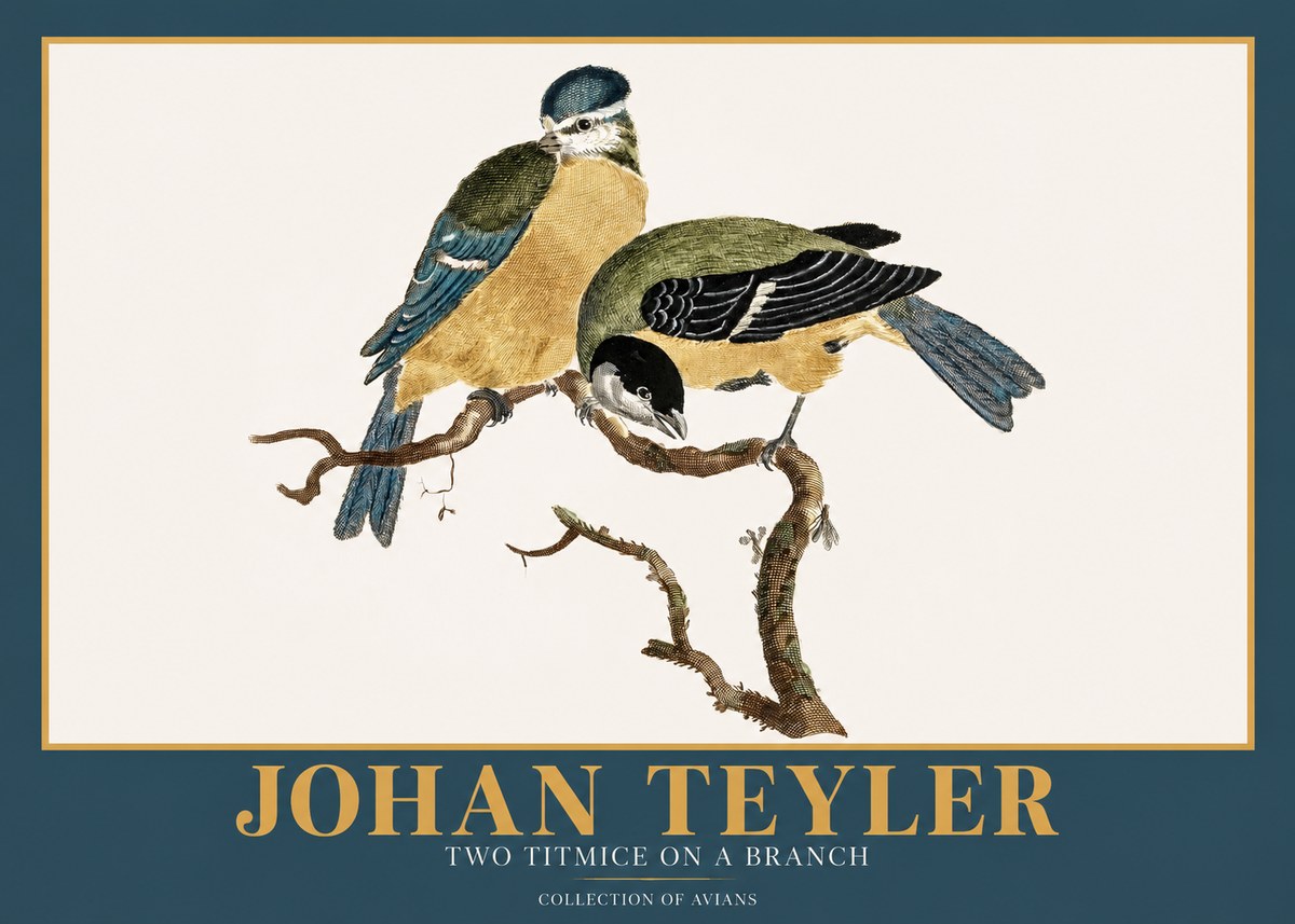 Johan Teyler Two Titmice on a Branch No2 - Plakát