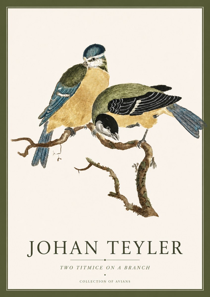 Johan Teyler Two Titmice on a Branch No4 - Plakát