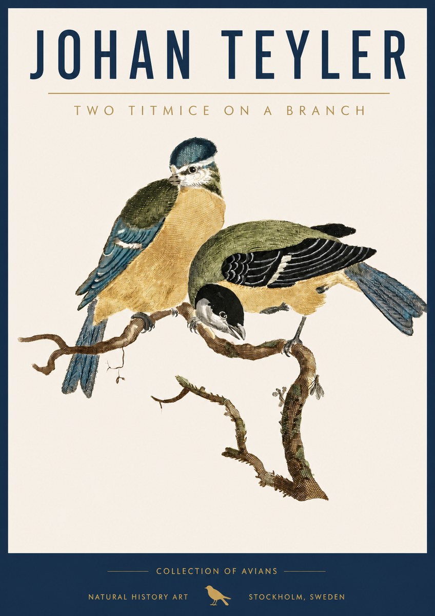 Johan Teyler Two Titmice on a Branch No5 - Plakát