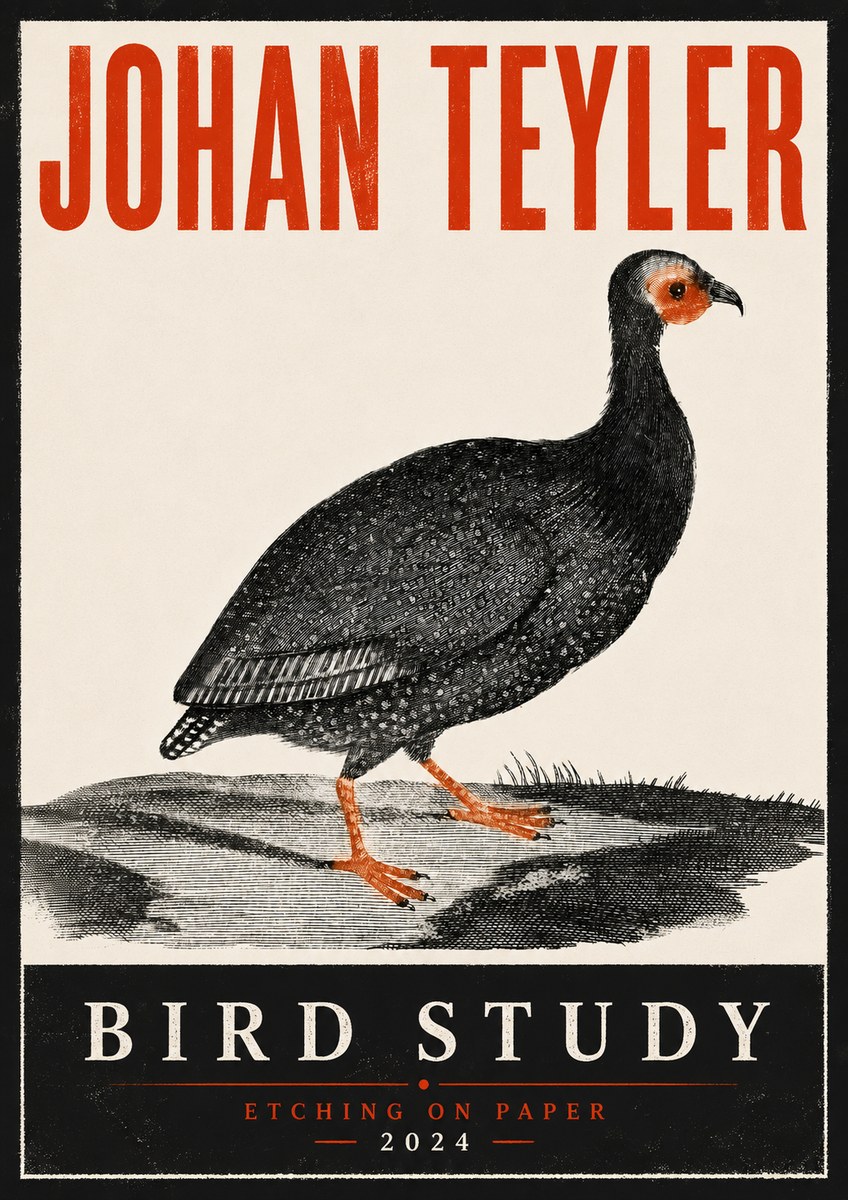 Johan Teyler Bird Study III No6 - Plakát