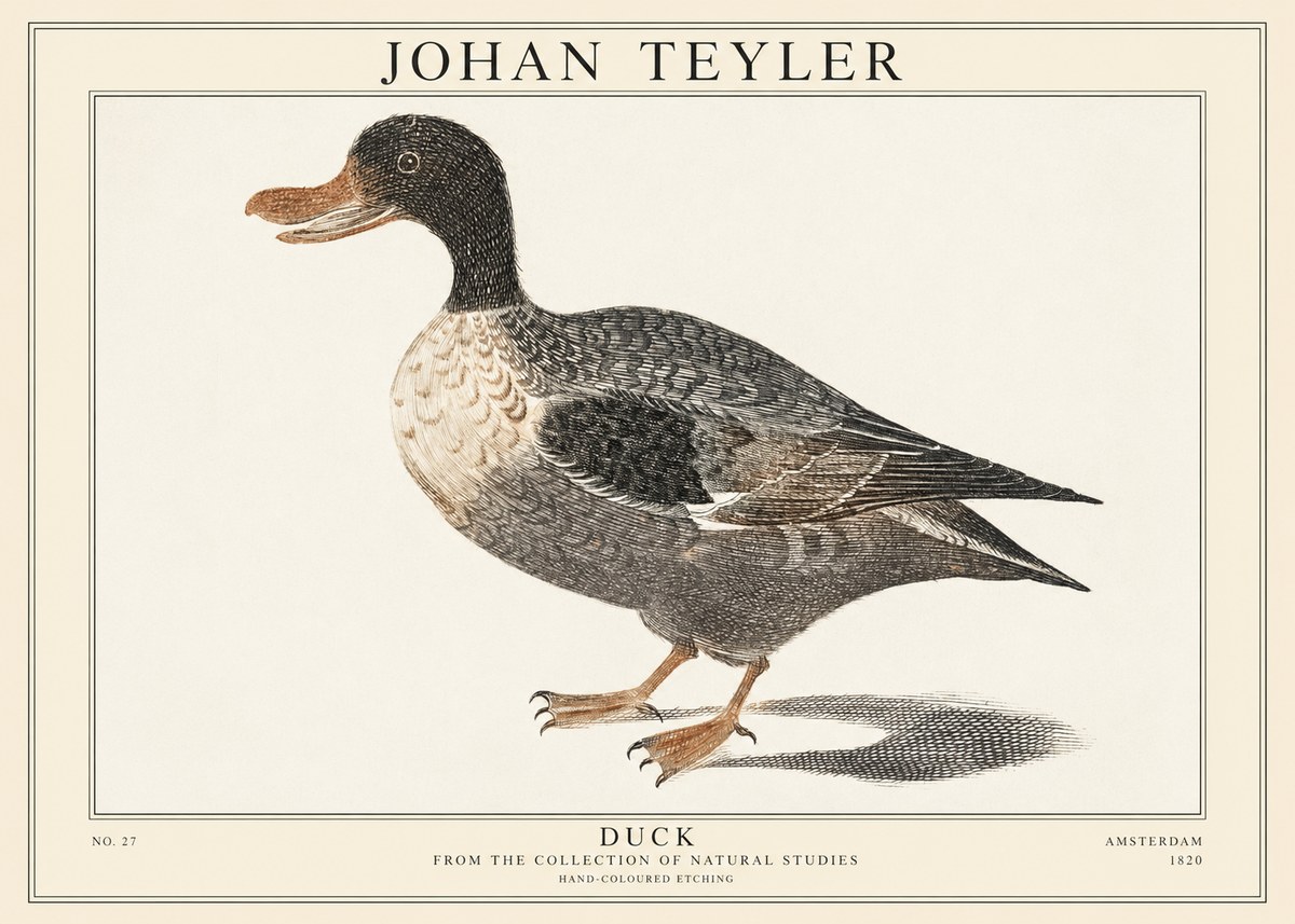 Johan Teyler Duck I No1 - Plakát