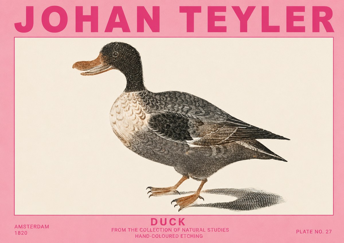 Johan Teyler Duck I No5 - Plakát