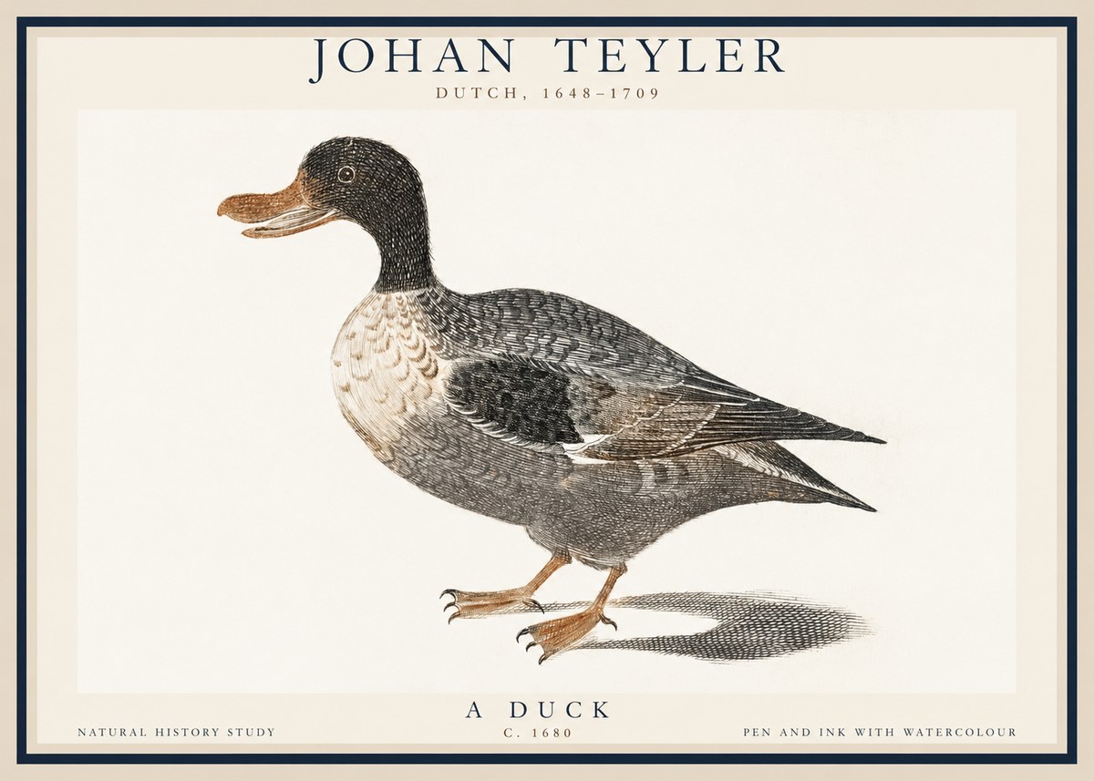 Johan Teyler Duck I No6 - Plakát