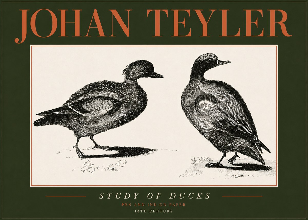 Johan Teyler Study of Ducks No4 - Plakát