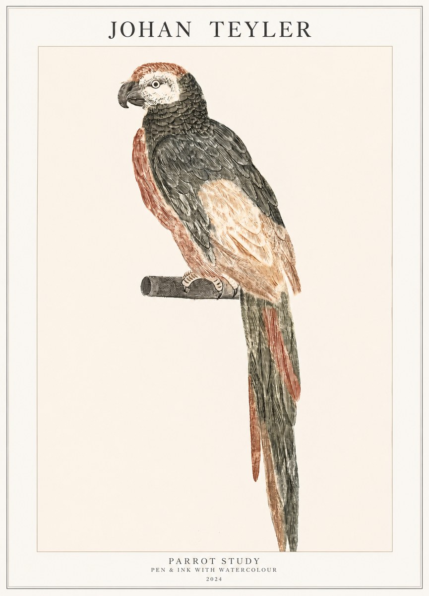 Johan Teyler Parrot Study II No1 - Plakát