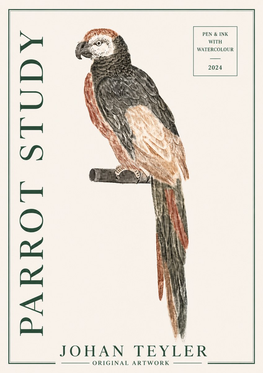 Johan Teyler Parrot Study II No3 - Plakát