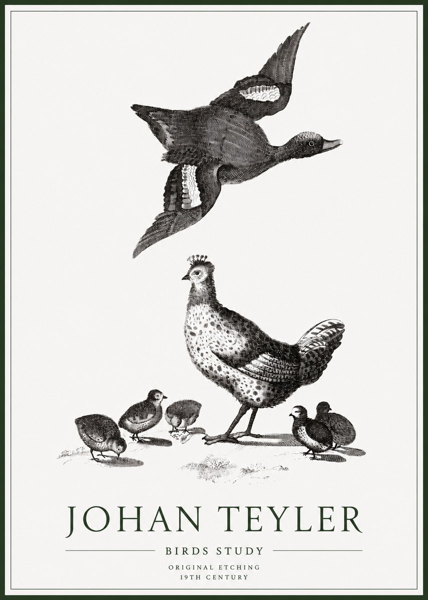 Johan Teyler Birds Study No1 - Plakát