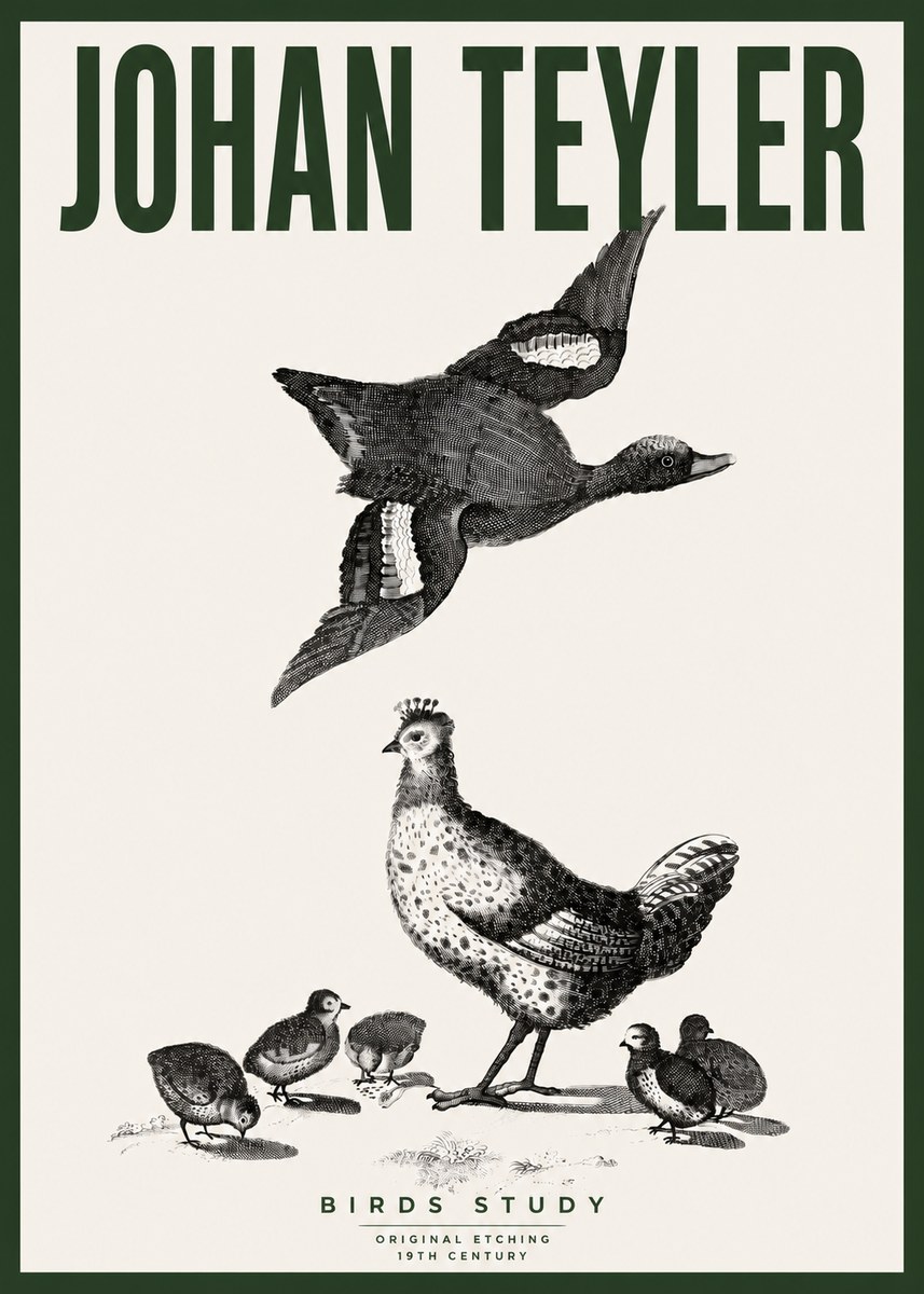 Johan Teyler Birds Study No4 - Plakát