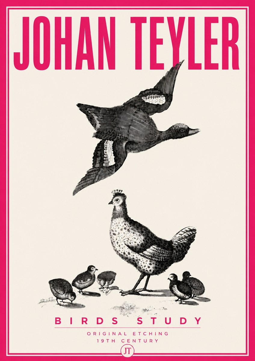 Johan Teyler Birds Study No6 - Plakát
