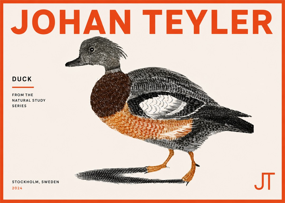 Johan Teyler Duck II No5 - Plakát