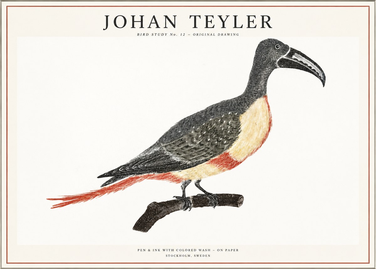 Johan Teyler Bird Study No. 12 - Original Drawing No1 - Plakát