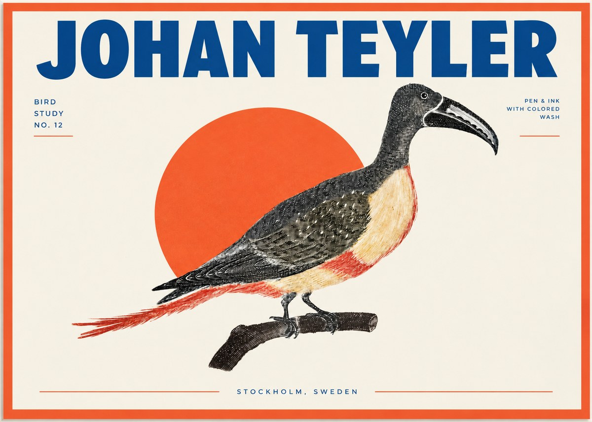 Johan Teyler Bird Study No. 12 - Original Drawing No2 - Plakát