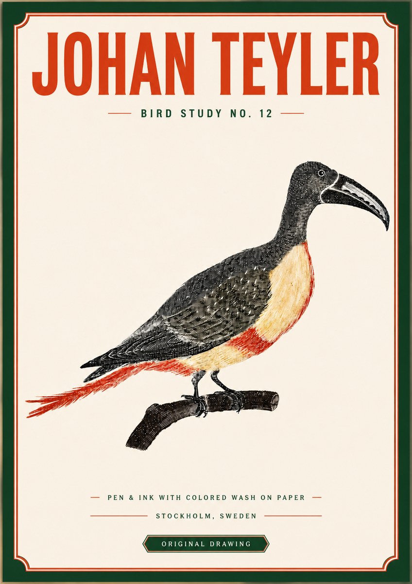 Johan Teyler Bird Study No. 12 - Original Drawing No3 - Plakát