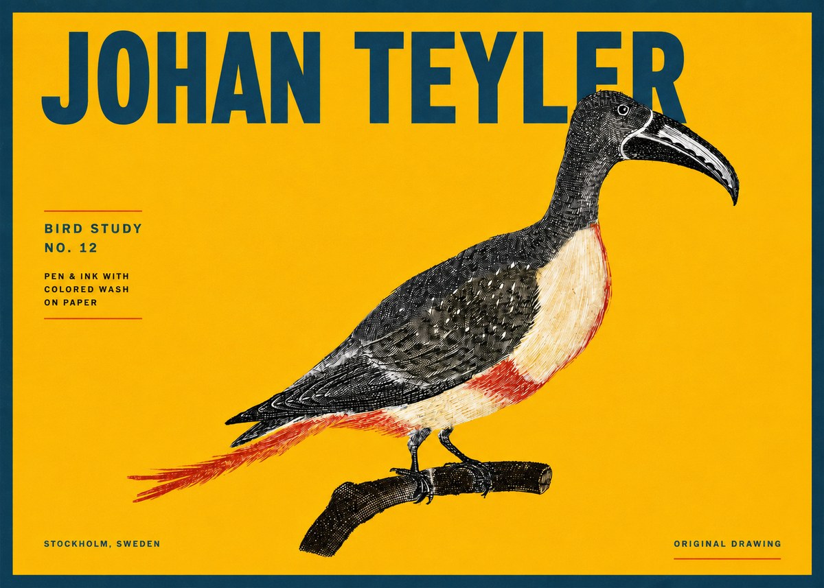 Johan Teyler Bird Study No. 12 - Original Drawing No4 - Plakát