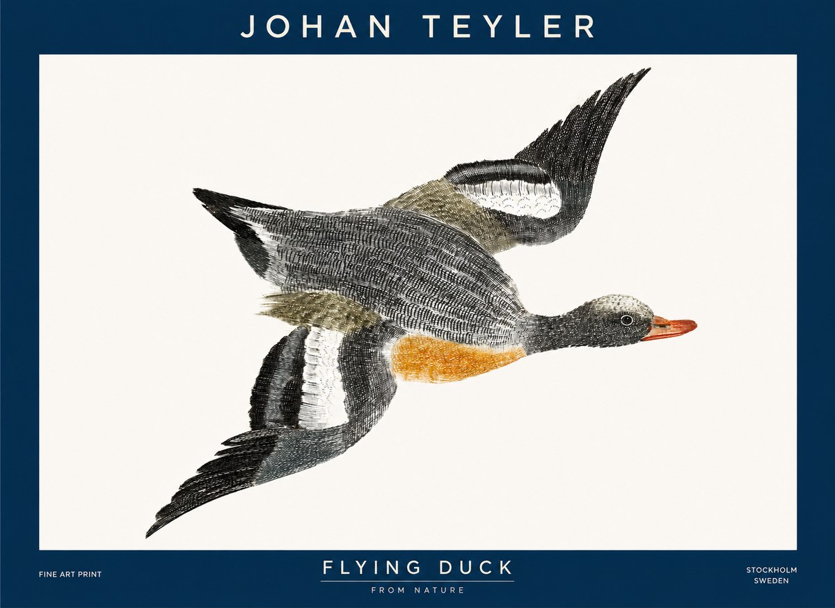Johan Teyler Flying Duck No1 - Plakát