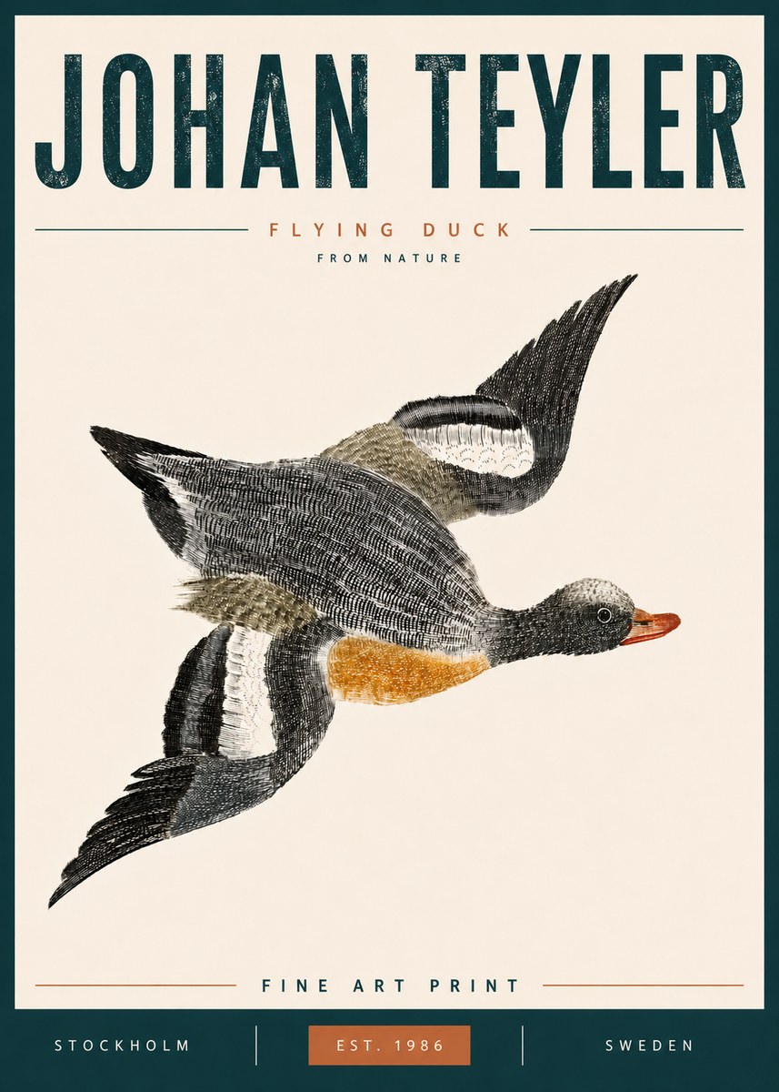Johan Teyler Flying Duck No6 - Plakát