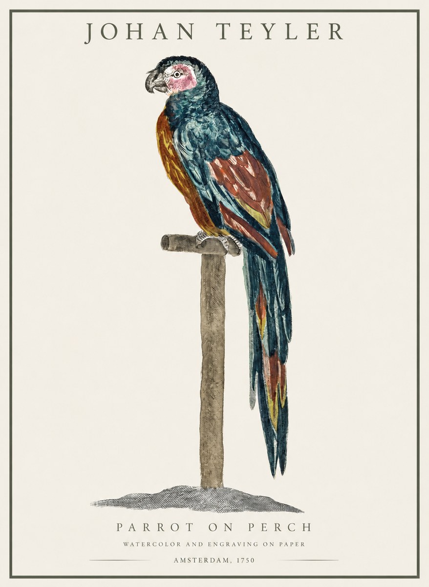 Johan Teyler Parrot on Perch No1 - Plakát
