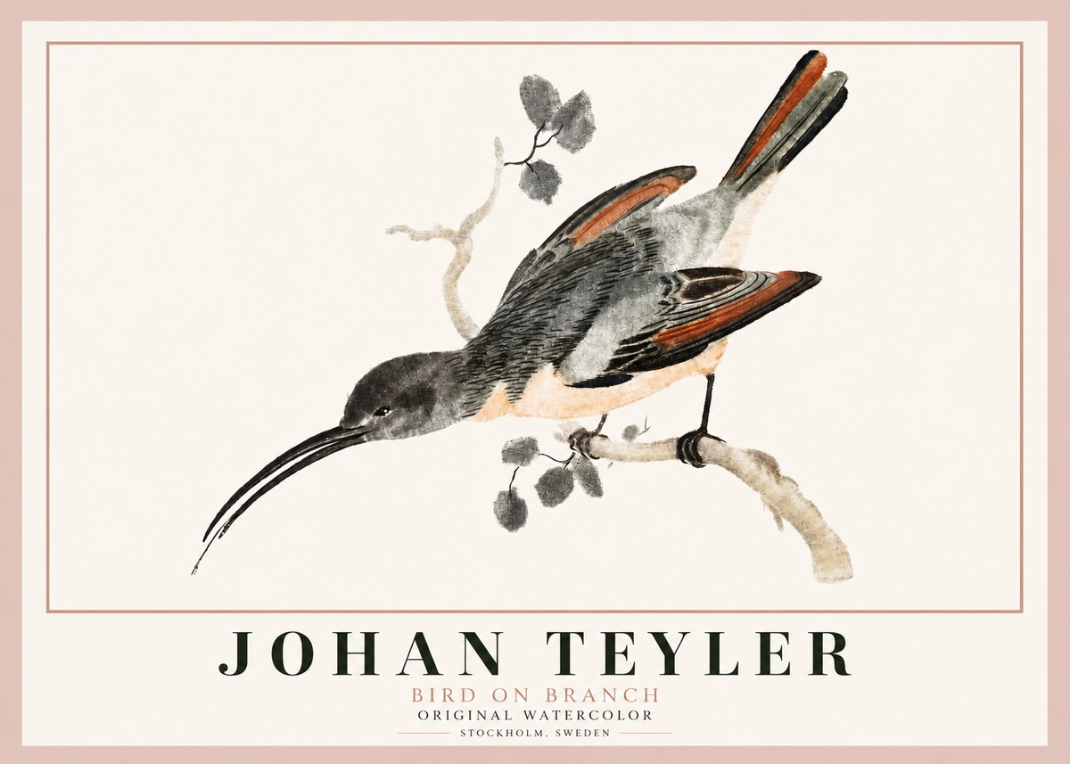 Johan Teyler Bird on Branch II No3 - Plakát