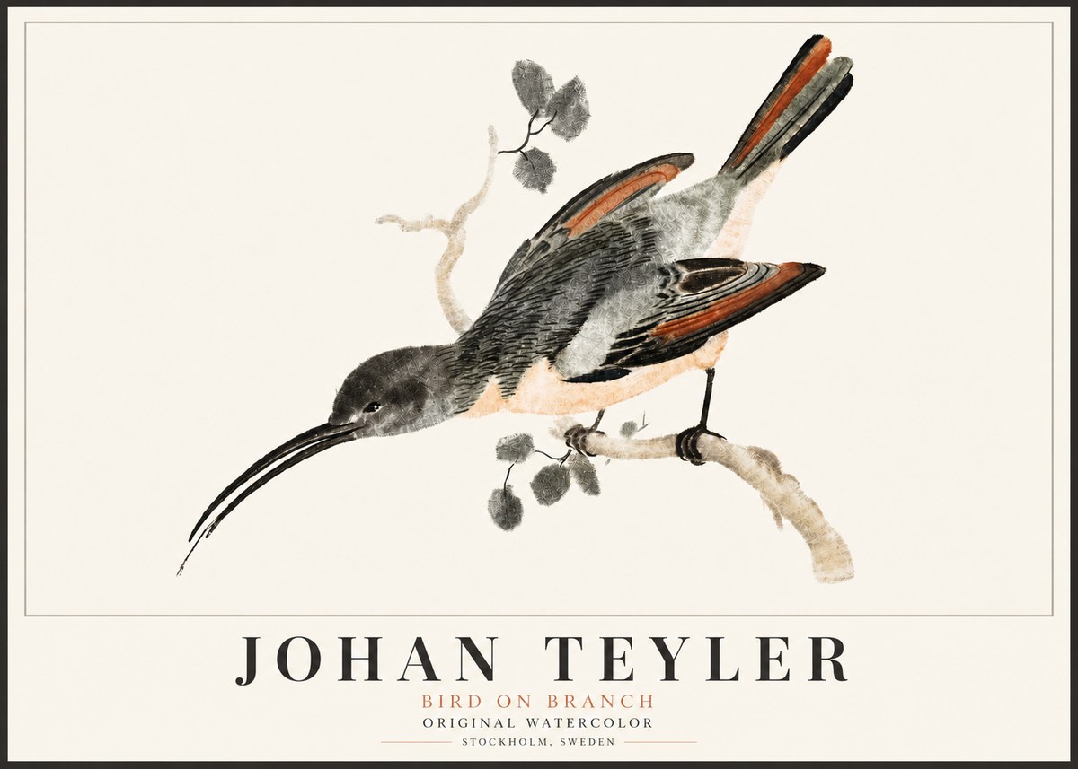 Johan Teyler Bird on Branch II No5 - Plakát
