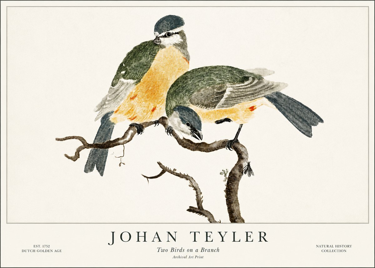 Johan Teyler Two Birds on a Branch No1 - Plakát