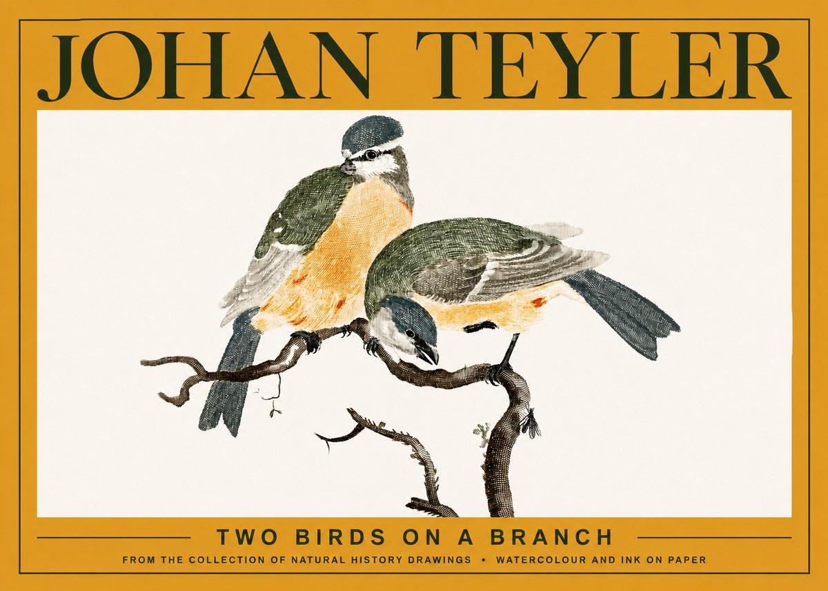 Johan Teyler Two Birds on a Branch No3 - Plakát