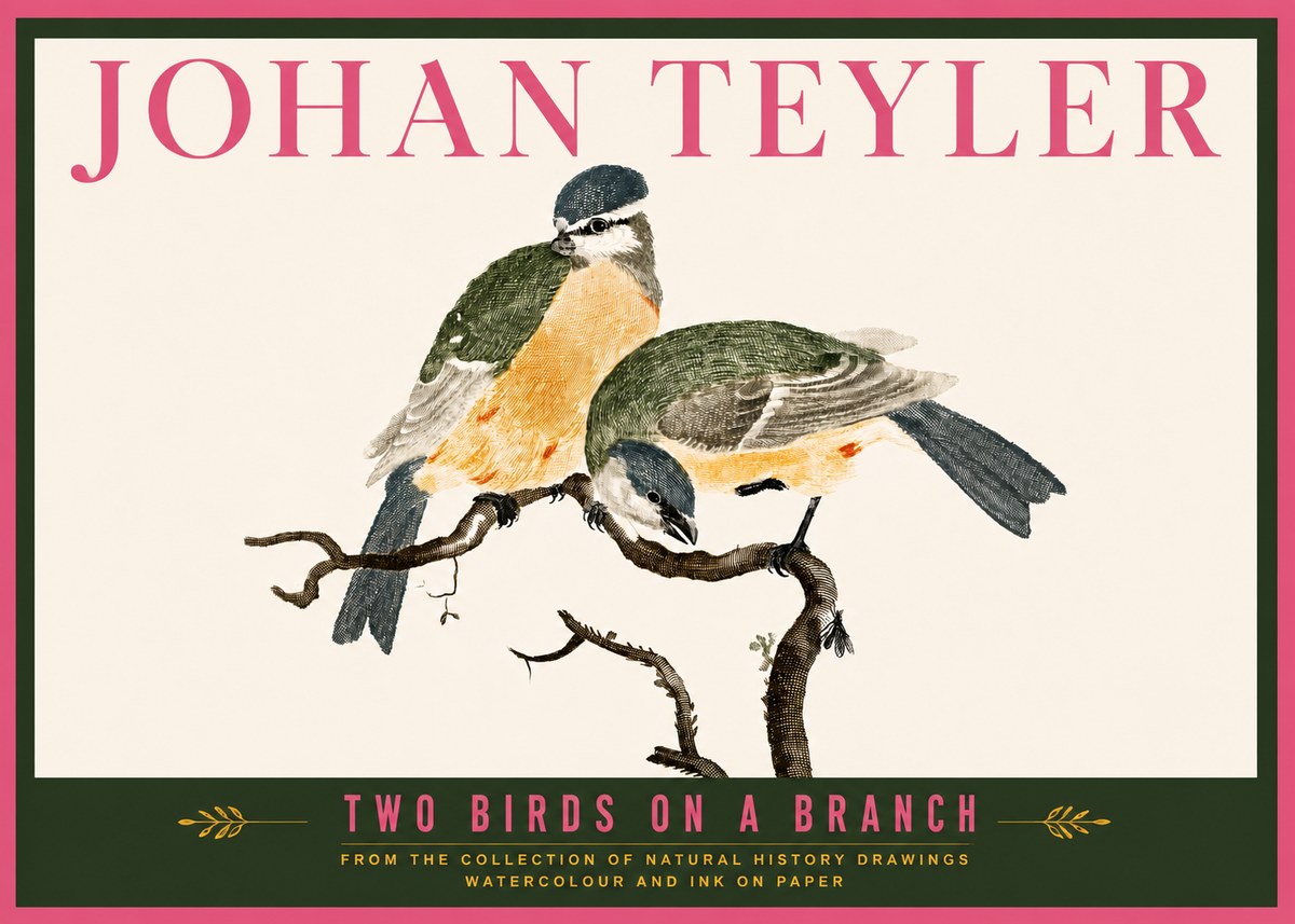 Johan Teyler Two Birds on a Branch No6 - Plakát