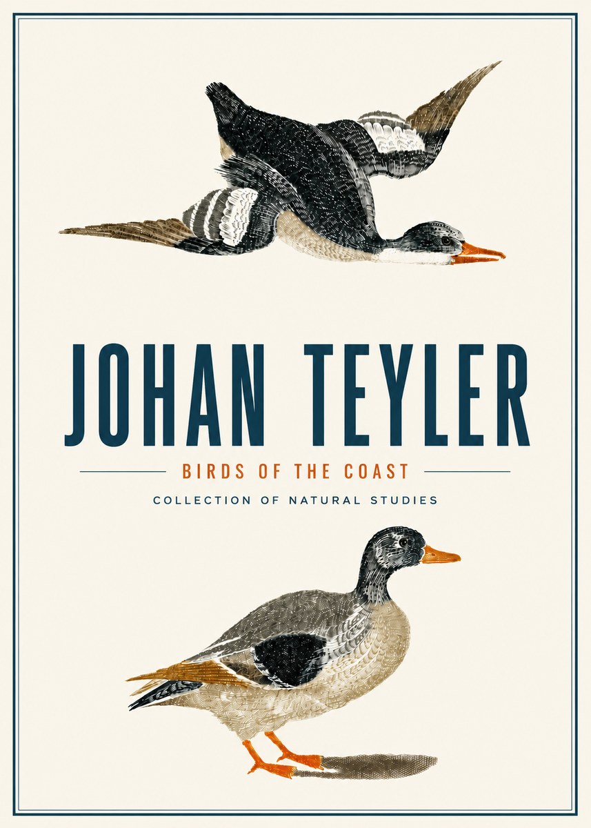 Johan Teyler Birds of the Coast No4 - Plakát