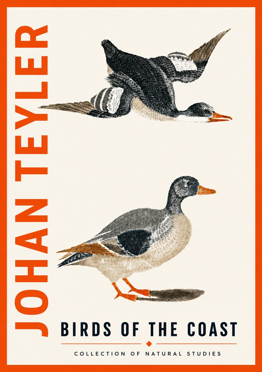 Johan Teyler Birds of the Coast No5 - Plakát