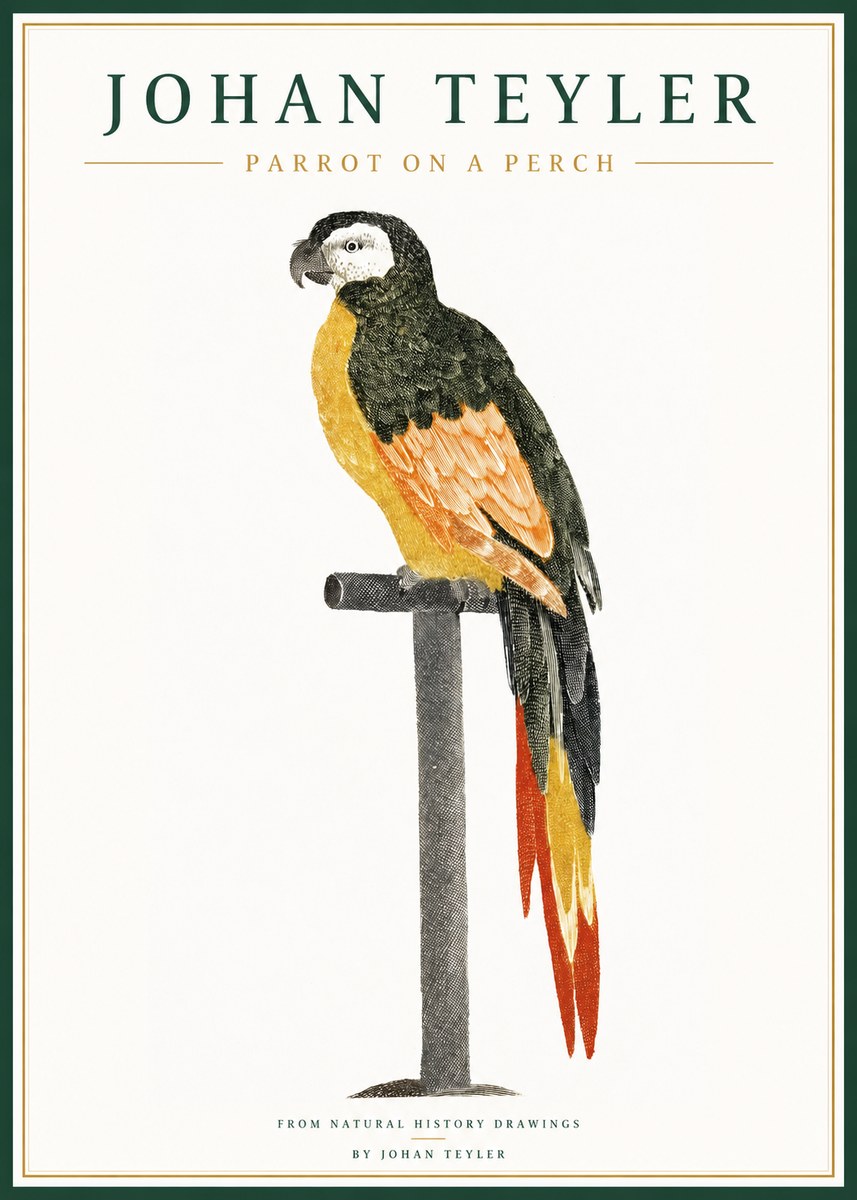 Johan Teyler Parrot on a Perch No1 - Plakát