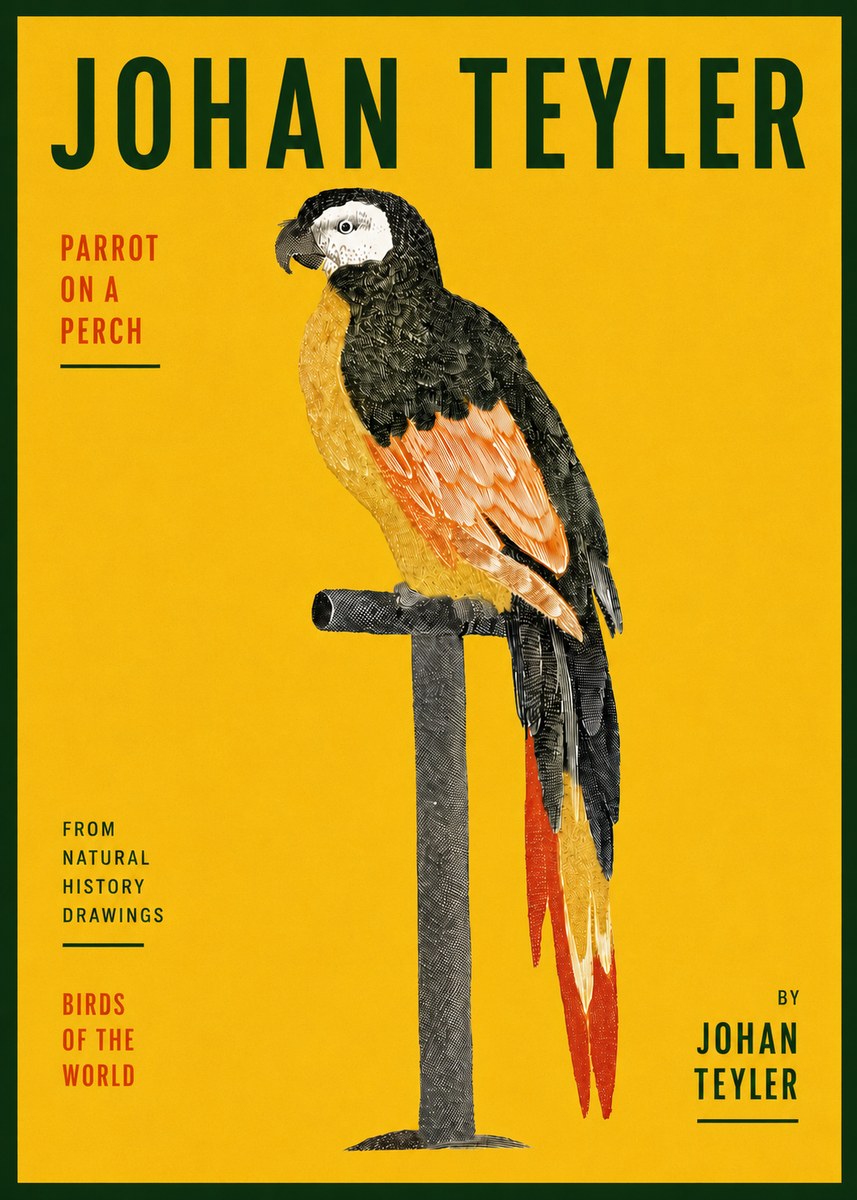 Johan Teyler Parrot on a Perch No5 - Plakát