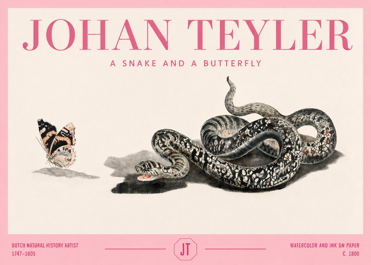 Johan Teyler Snake and Butterfly No4 - Plakát