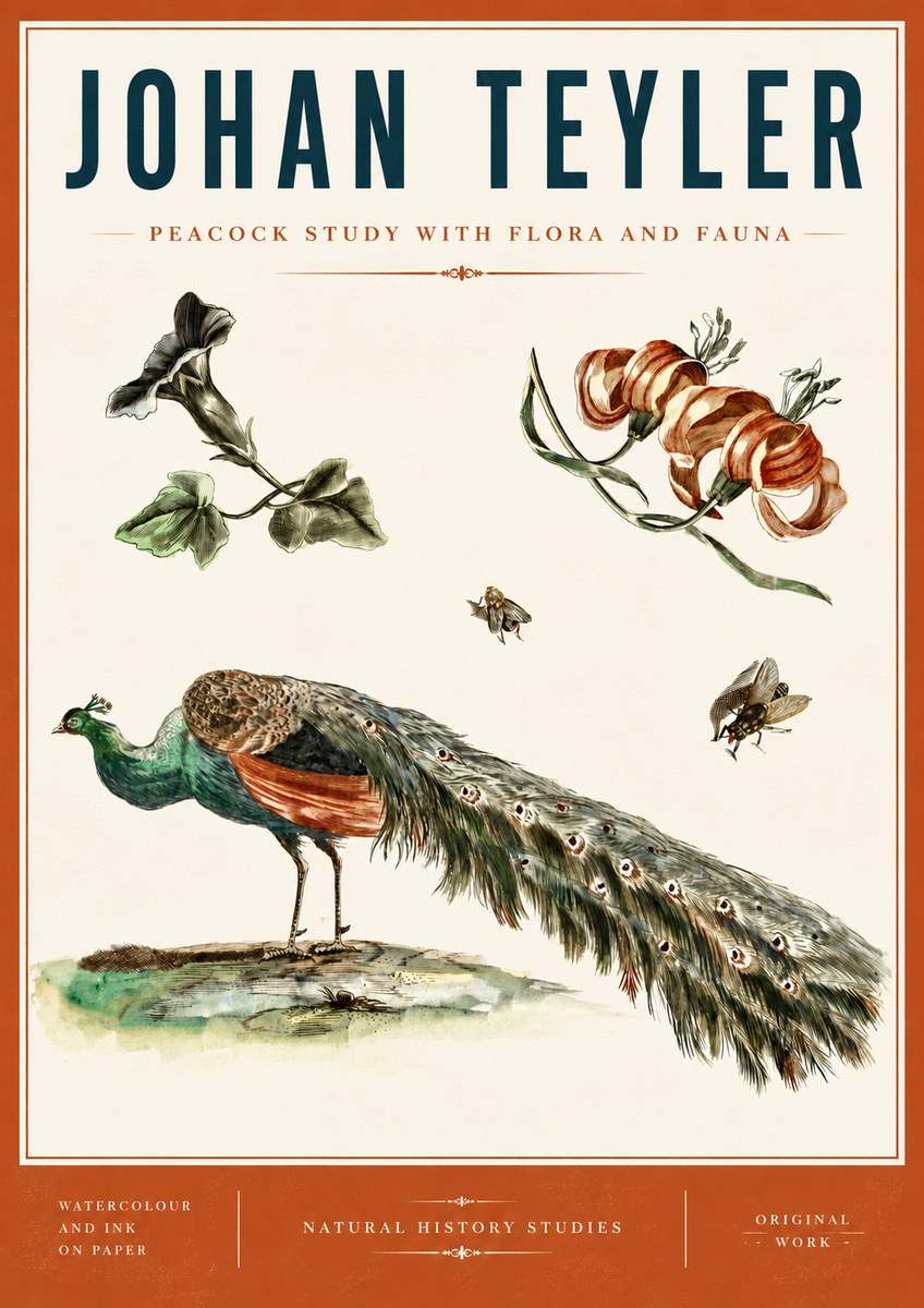 Johan Teyler Peacock Study with Flora and Fauna No6 - Plakát